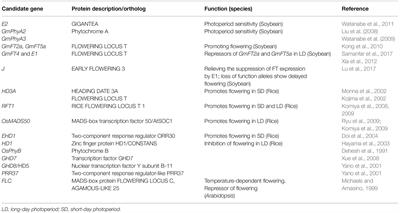 The Complex Interactions Between Flowering Behavior and Fiber Quality in Hemp